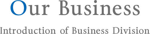 BUSINESS SECTION